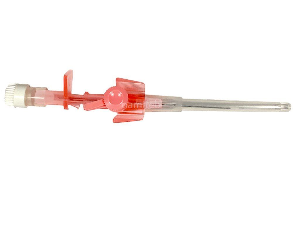 photo_2025-07-08_20-24-19